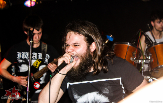 2016 - Newcomercontest