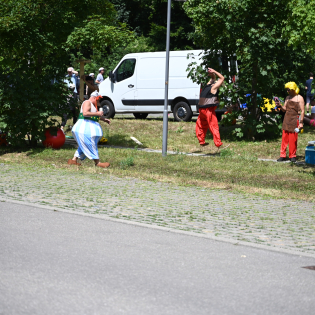 DSC_7620.JPG