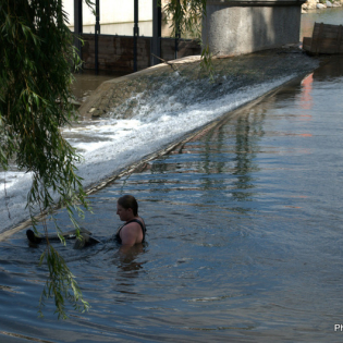 DSC_5275.NEF.jpg