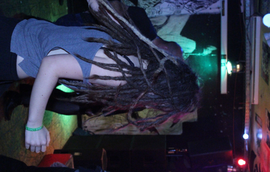 Domestication of Bagdad